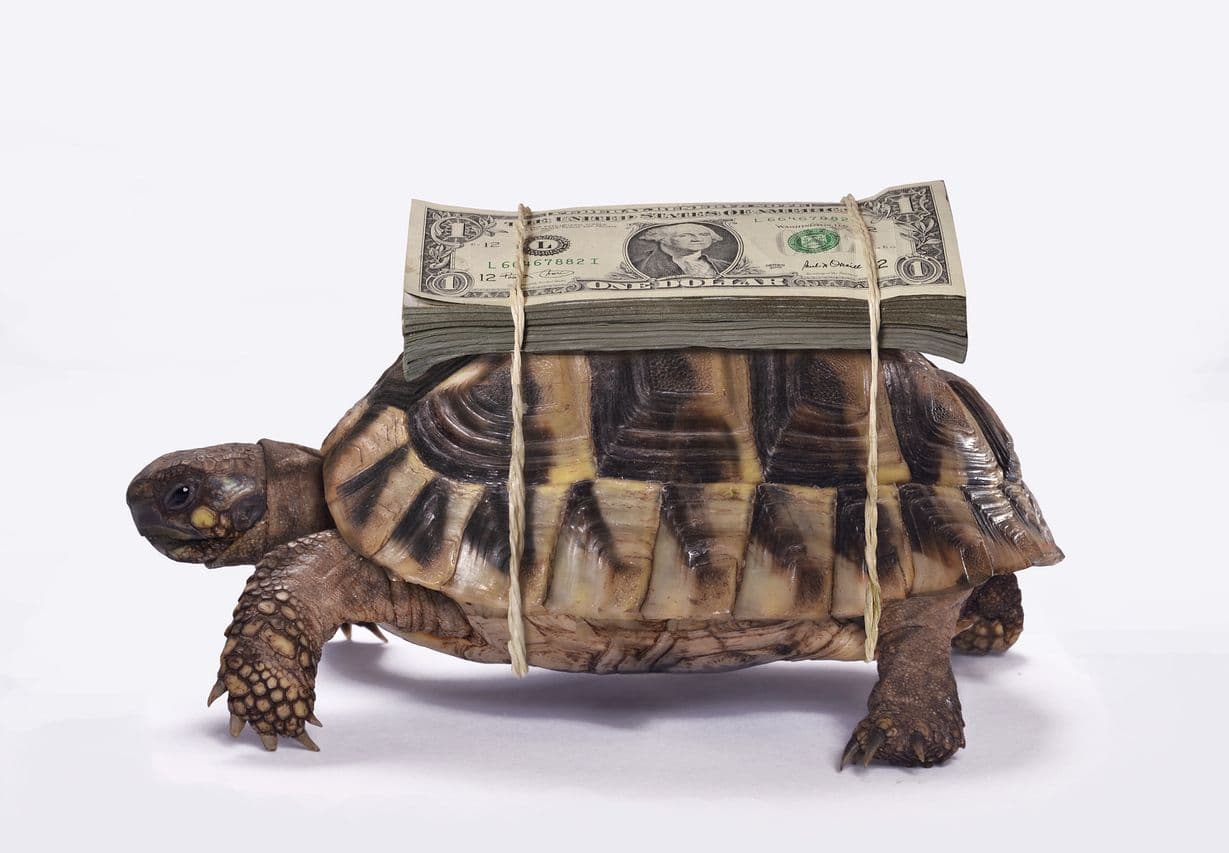 Ich habe Dollar oder Euro überwiesen. Wann erfolgt die Gutschrift?